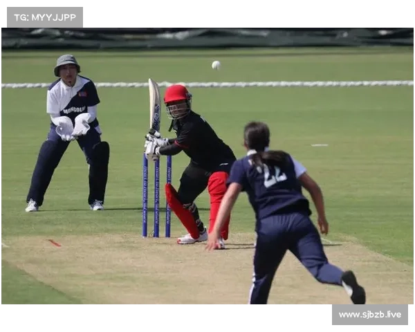 2026名古屋亚运会正式列板球为比赛项目